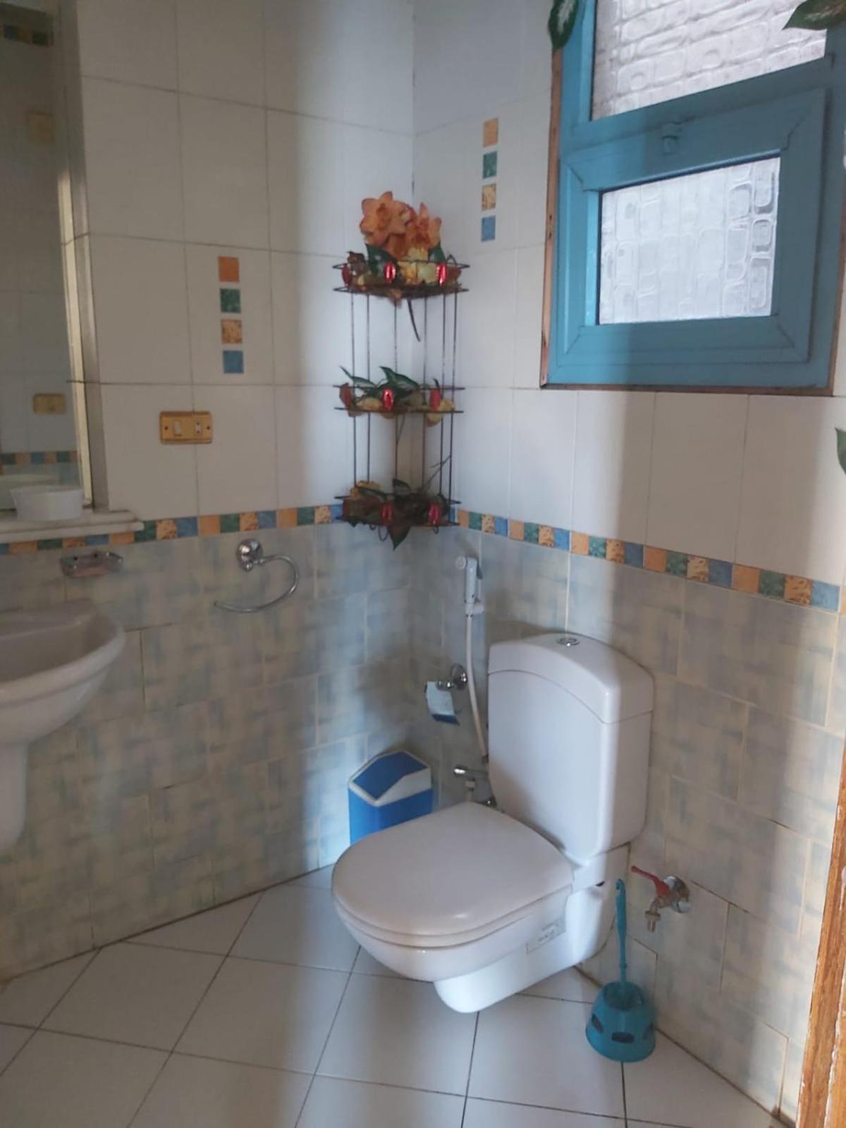 Apartment شقه للايجار مفروشه 260 م شارع جامعة الدول العربية الرئيسي المهندسين